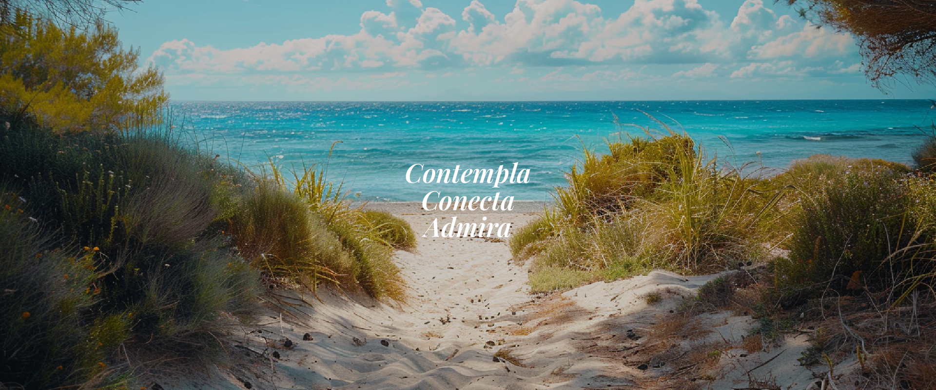 Blau Colonia Sant Jordi Mallorca Blau Colonia Sant Jordi Mallorca
