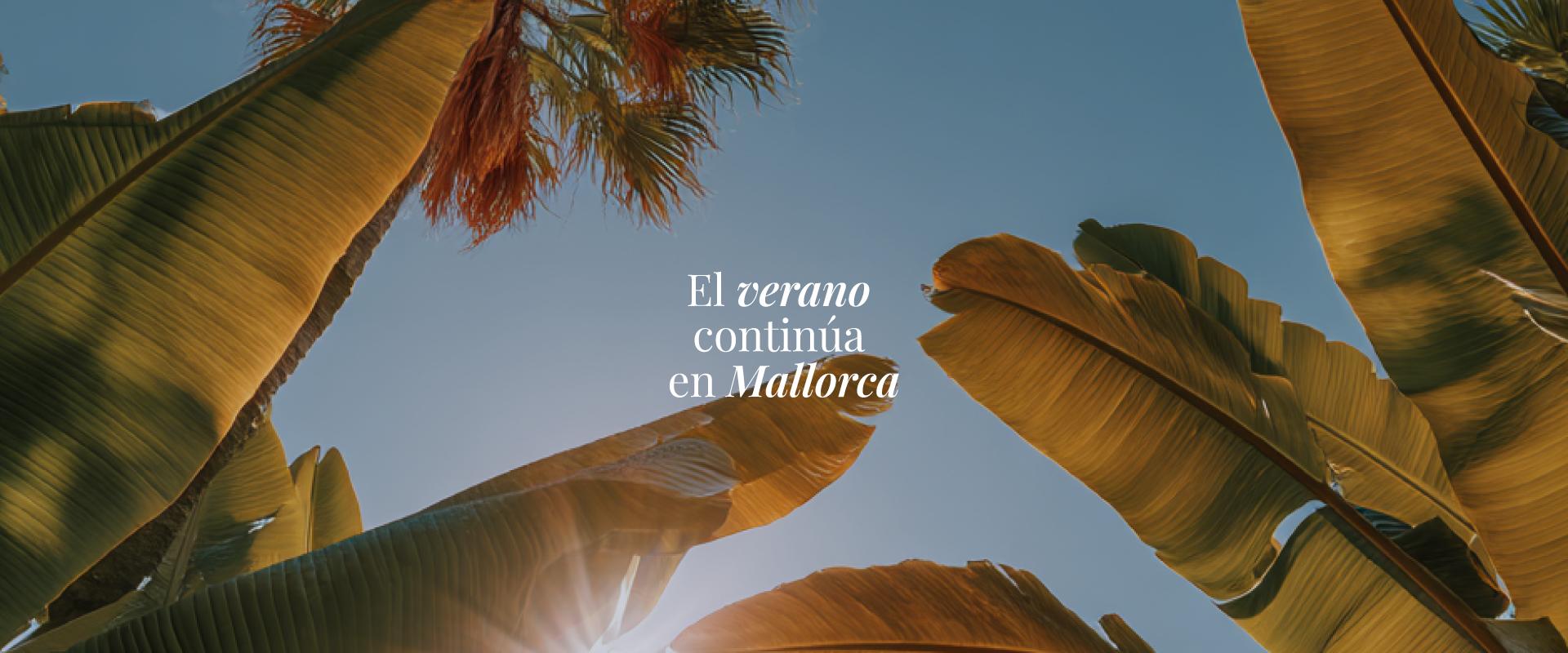 Blau Colonia Sant Jordi Mallorca Blau Colonia Sant Jordi Mallorca